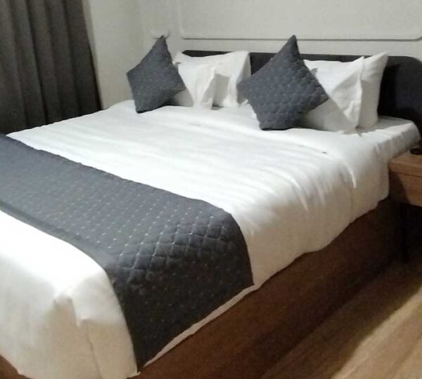 Hotel Lake Metro