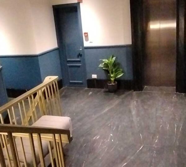 Hotel Lake Metro